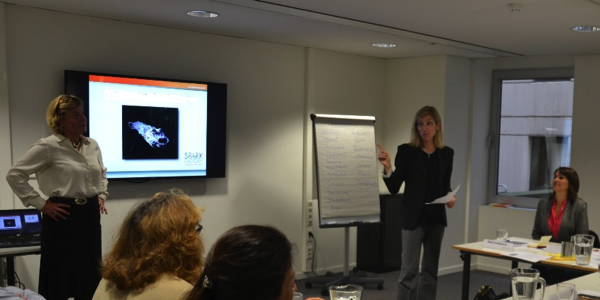 Alligators & Emotional Intelligence Alligators & Emotional Intelligence
